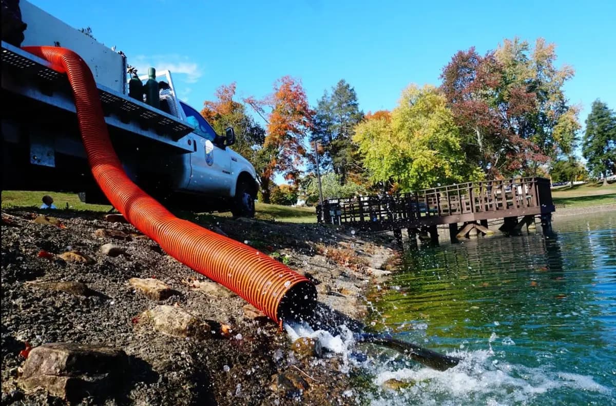 A hatchery crew stocking rainbow trout into a lake through an orange hose